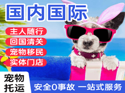 威海大水泊空运国际宠物托运 【国